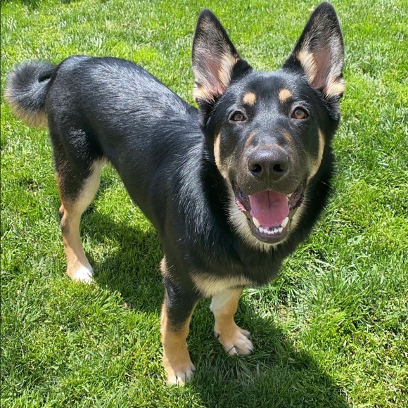 buy my old shit 🥀 - Picture 10 of 10